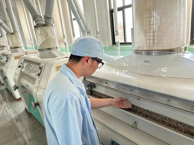 实探一粒麦从南郊沃土到古船面包房的“粮”途(5) 实探一粒麦从南郊沃土到古船面包房的“粮”途(5)