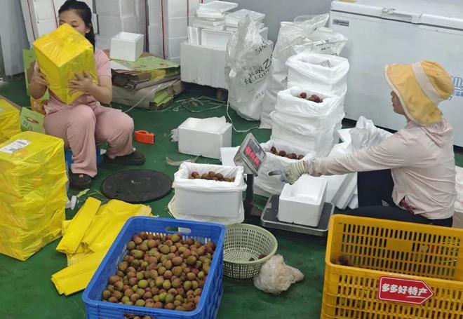 拼多多打通 “新荔枝道”,此去长安一马平川(8) 拼多多打通 “新荔枝道”,此去长安一马平川(8)