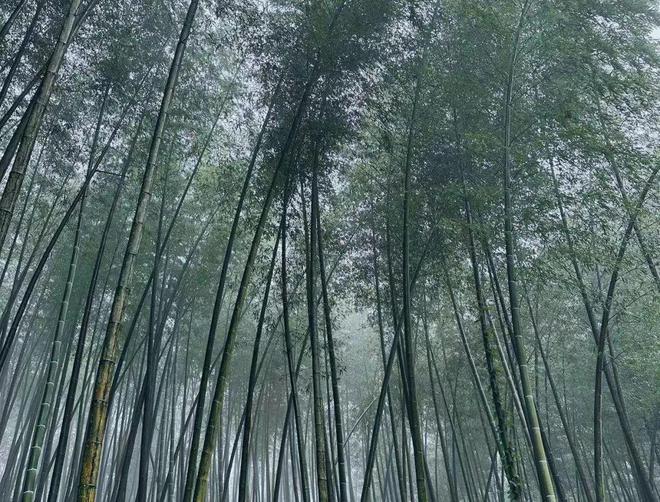 美国跌倒,中国欧洲吃饱?(1) 美国跌倒,中国欧洲吃饱?(1)