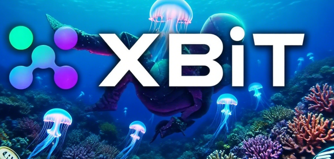 虚拟货币资产：XBIT 如何用智能与多链，赋能您的数字财富管理？(1)