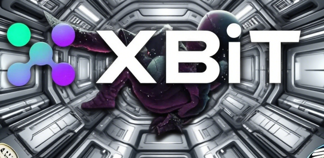 特朗普币投资策略：超越政治炒作，XBIT如何助你进行数据化决策？(1)
