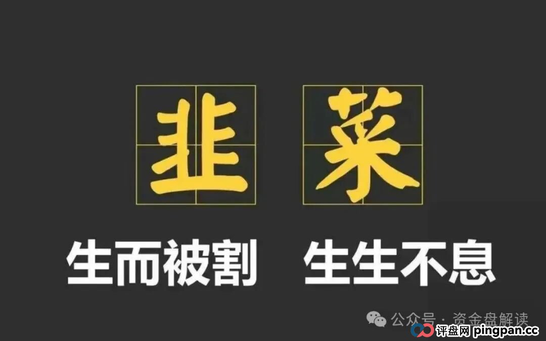 “港股加密储备”神话一夜崩塌！CoinUp交易所的“华丽外衣”与“吸血本质”让投资者该何去何从…(8)