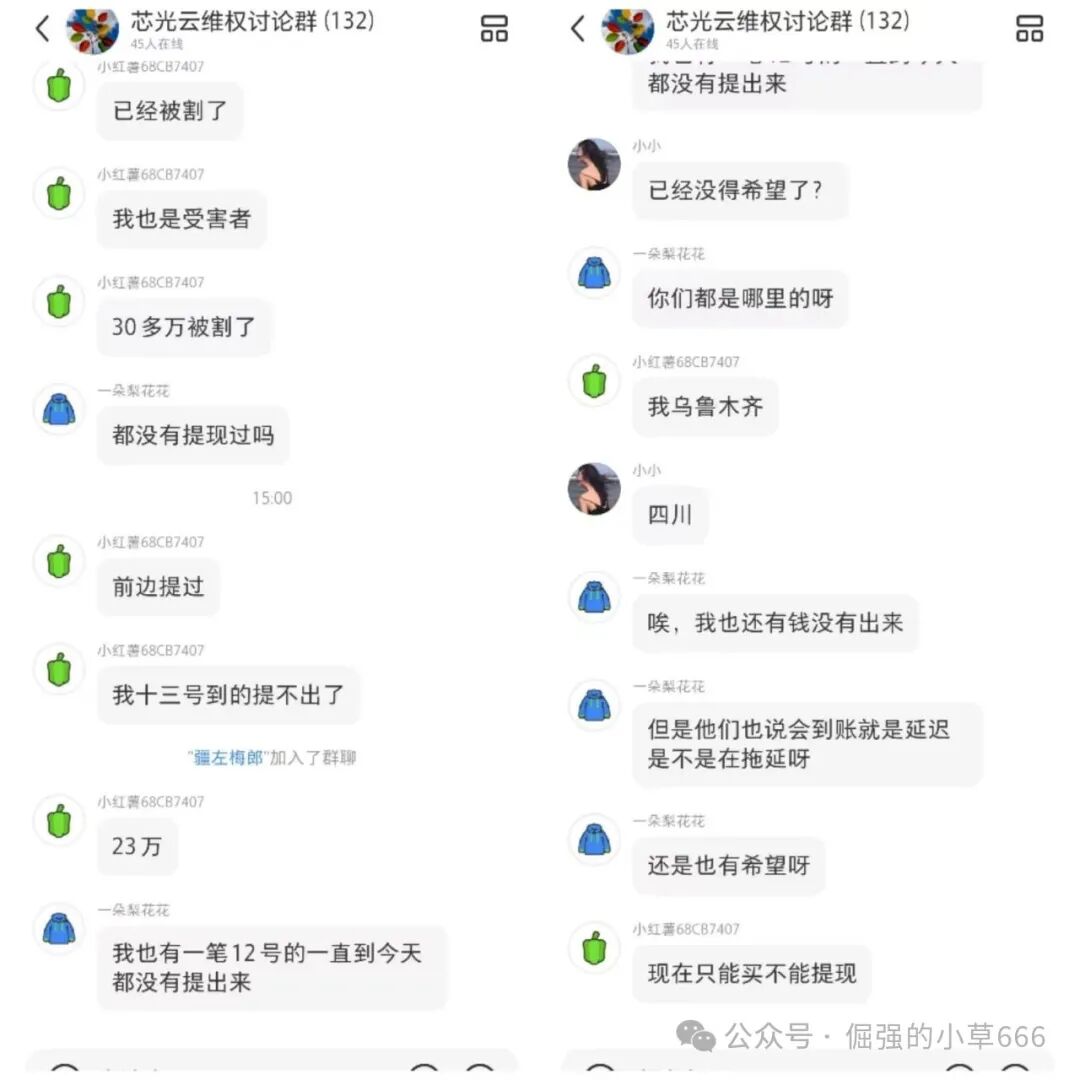 “芯光云XGAI”崩盘实录：一场精心策划两年的百亿级资金盘骗局终章(9)