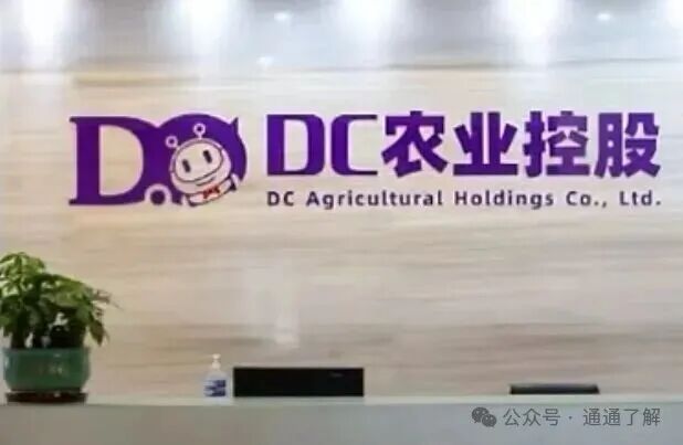从明星企业到百亿骗局：DC农业崩盘背后的警示，看似坚实的农业供应链平台，实则建立在沙滩上的城堡(2)