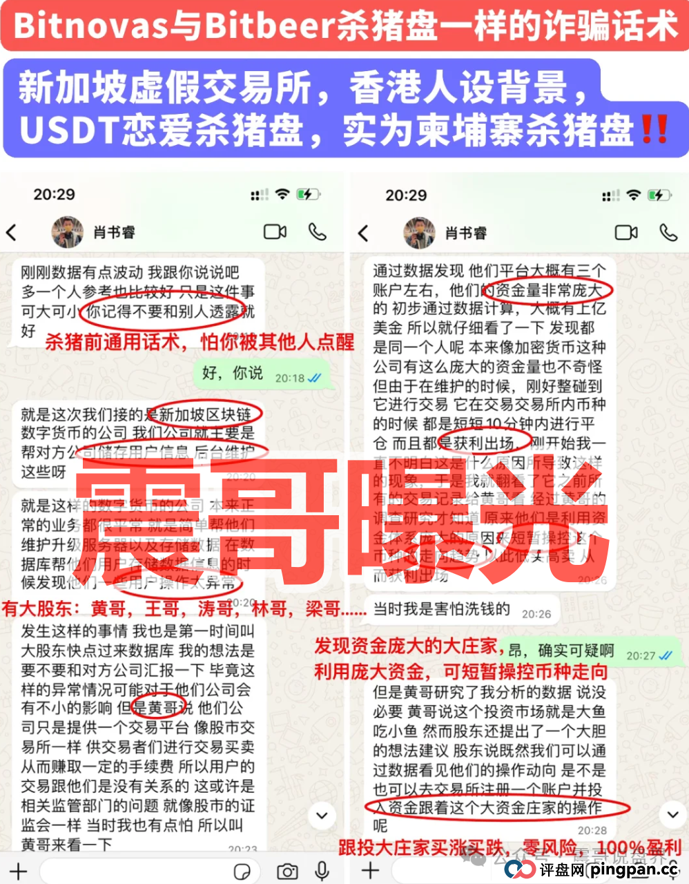 Bitnovas资金盘骗局，纯纯的恋爱杀猪盘，看见一定要远离(2)