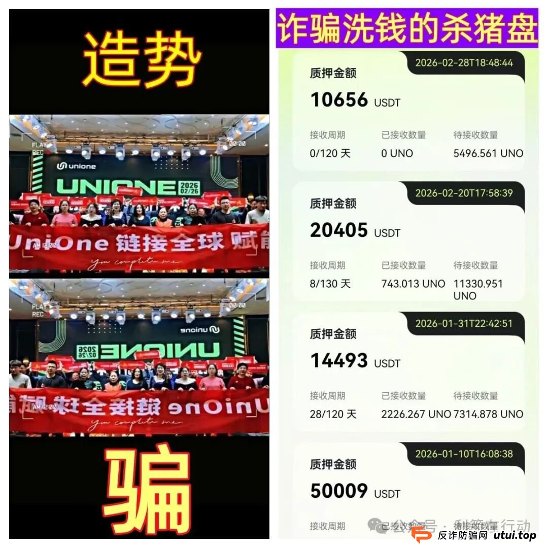血泪教训:如果已经投了UniOne,现在应该怎么办?(附实用维权指南)
