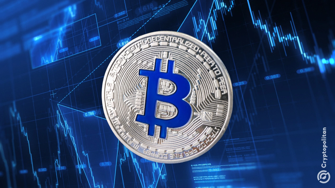 比特币波动率跌至20个月低点，现货ETF流入接近500亿美元(1)