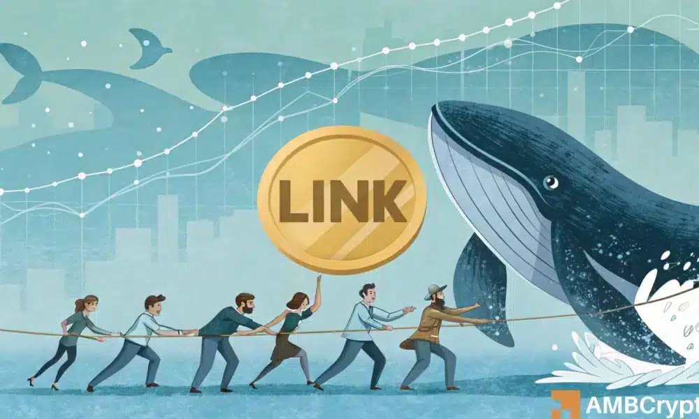 Chainlink – 鲸鱼正在购买，但价格会做出反应吗？(1)