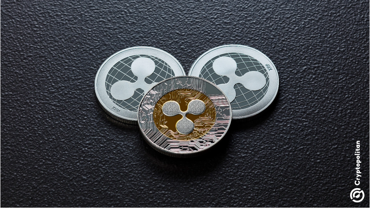 彭博社将现货 XRP、狗狗币和卡尔达诺 ETF 的批准几率提高至 90%(1)