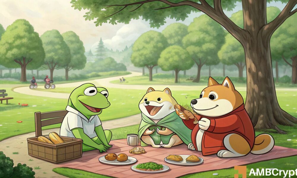 BONK、SHIB、PEPE 等等——表情包币真的又开始流行了吗？(1)