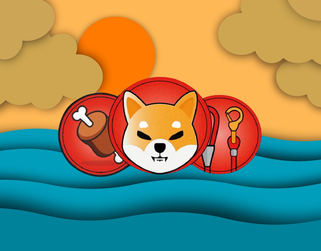 你应该购买“SHIB Trifecta”代币（柴犬、骨头和牵引绳）吗？(1)
