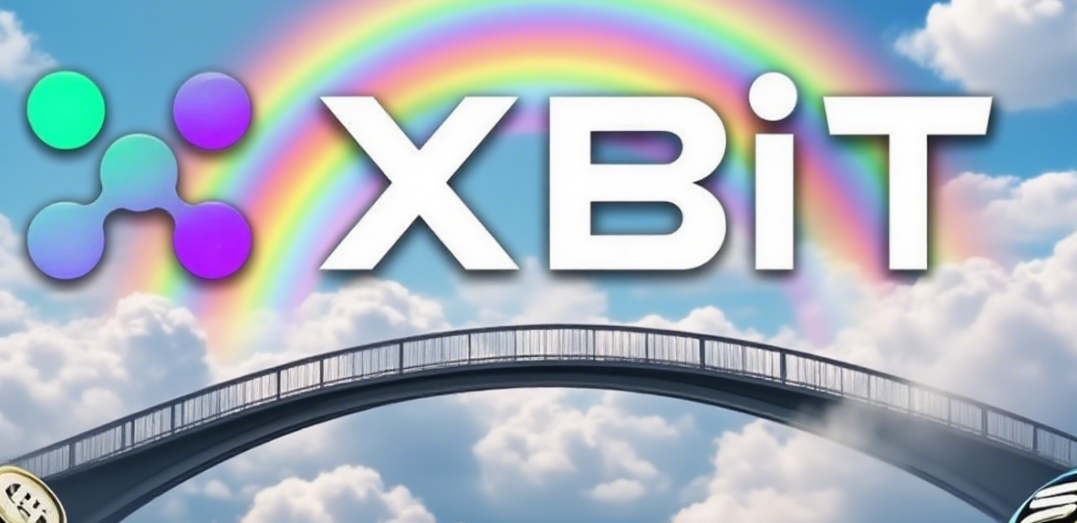 BSC淘金指南:XBIT如何助你穿越“中心化”迷雾,发现链上真Alpha?(4) BSC淘金指南:XBIT如何助你穿越“中心化”迷雾,发现链上真Alpha?(4)