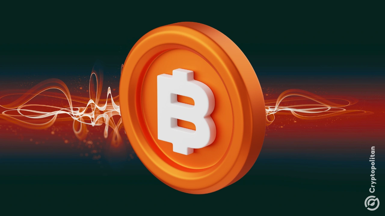 在美国加密货币周热潮中，比特币鲸鱼交易量达 20,000 BTC(1)