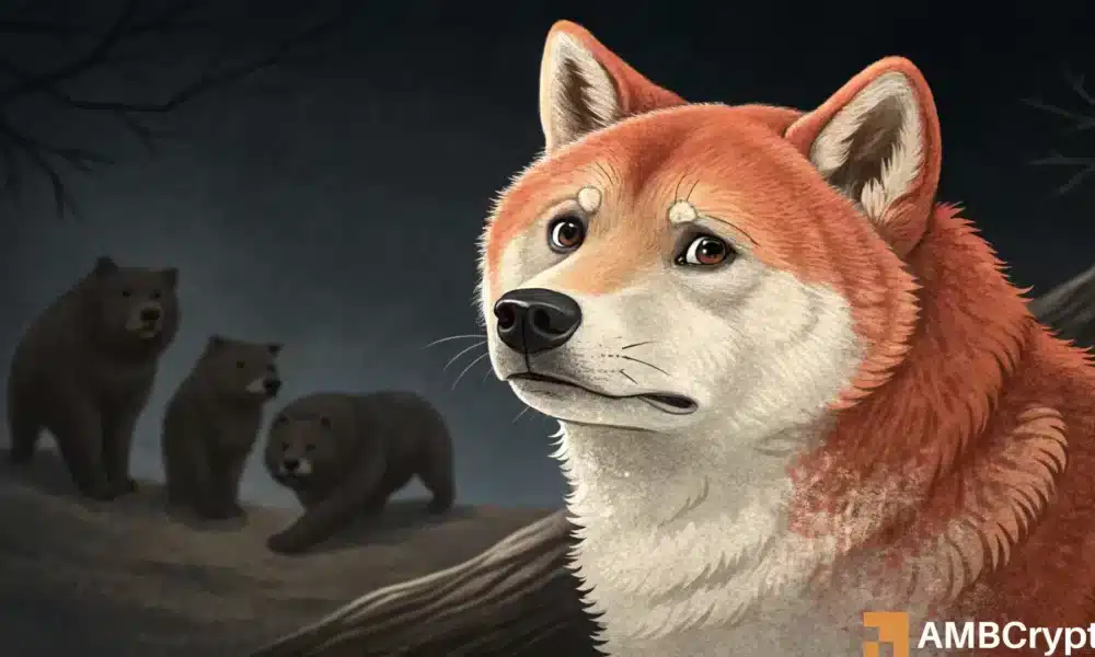 柴犬价格预测——这对交易者来说都是一个高风险的购买机会！(1)