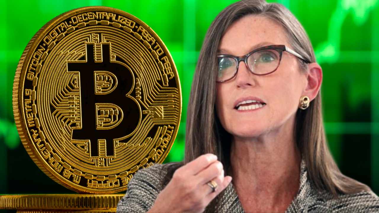 凯茜·伍德：比特币的稀缺性可能取决于美国的一项决定(1)